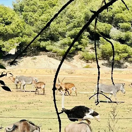 3 Etoiles - Piscine - Eehdai Campsite *