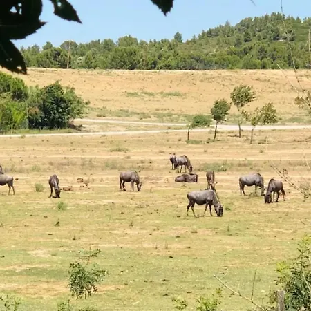 3 Etoiles - Piscine - Eehdai Campsite *