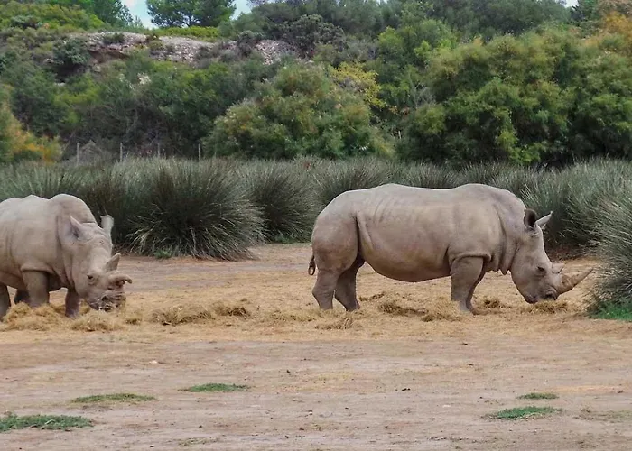 Camping 3 étoiles - Piscine - Eehdai *
