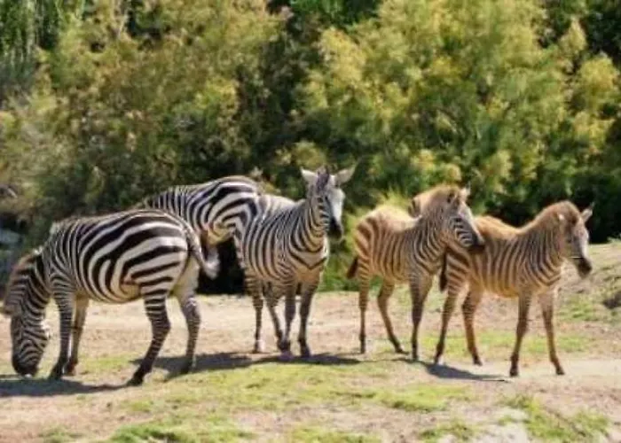 3 Etoiles - Piscine - Eehdai Campingplads Sigean