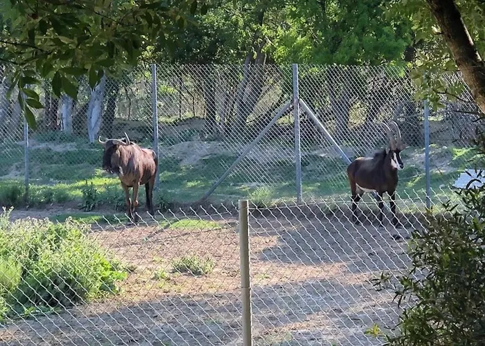 3 étoiles - Piscine - Eehdai * Sigean