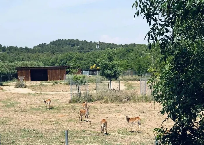 3 étoiles - Piscine - Eehdai Sigean